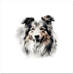 Tri color Sheltie Watercolor Portrait Posters and Art